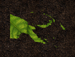 Papua New Guinea map made of green leaves on soil background ecology concept