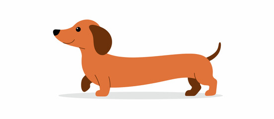 Cartoon dachshund dog walking, pet animal canine character happy and playful