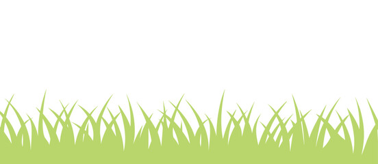Green grass border, lawn pattern, fresh, spring, growth, nature, environment, ecology