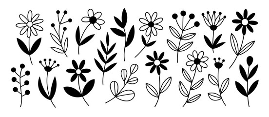 Black and white flower doodles, botanical line art illustration, floral plant drawings
