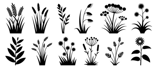 Plant silhouette set, nature botanical illustration, vector herbs, meadow grass