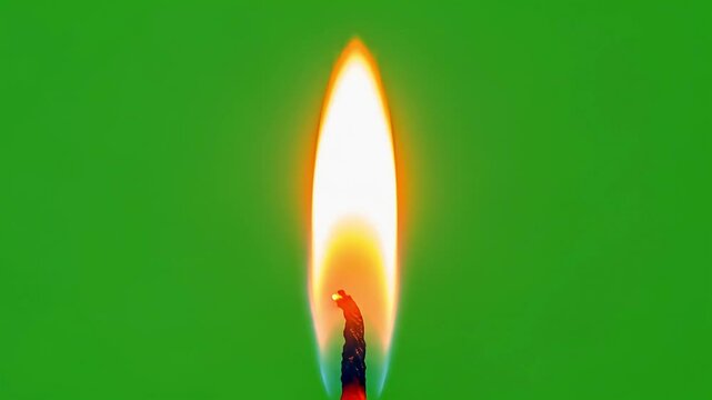 Close up Flame Burning on a Matchstick Against Bright Green Background