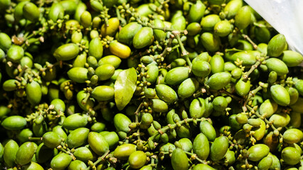 Abundant Harvest of Green Fruits and Branches