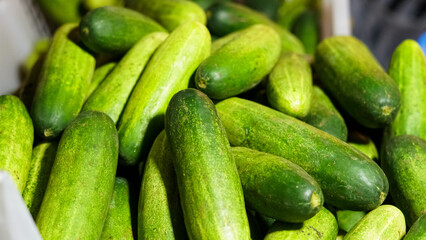 Fresh Green Cucumbers at Farmers Market, Abundant Harvest