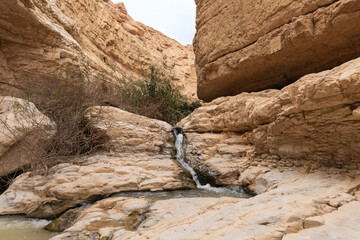 Small  waterfall downstream in Arugot mountain Stream Nature Reserve near Dead Sea in the southern Israel