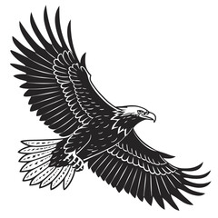 Fototapeta premium Black and White Eagle in Flight Wings Spread bird monochrome