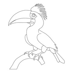 Hornbill line art vector design. Hornbill outline illustration design. © SwapnaRoy105