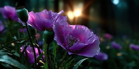 Colorful purple flowers blooming in a serene garden at sunset showcasing nature's beauty and tranquility