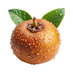 Close up of a wet Loquat fruit with vibrant green leaves on Transparent PNG