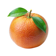 Delicious and fresh cara cara orange isolated on a bright white background or Transparent PNG