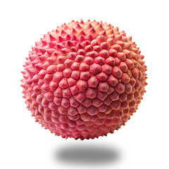 A close up shot of a single lychee fruit with rough surface with Transparent shadow on Transparent PNG
