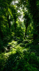 Obraz premium Lush Sanctuary: Tranquil Ecosystem Under Nature's Shielding Canopy