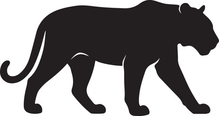 Strong Tiger Silhouette Walking on White Background