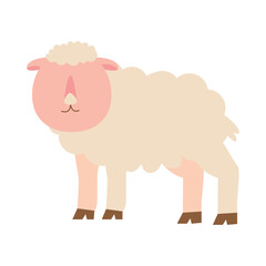 Cartoon Sheep Animal Illustration