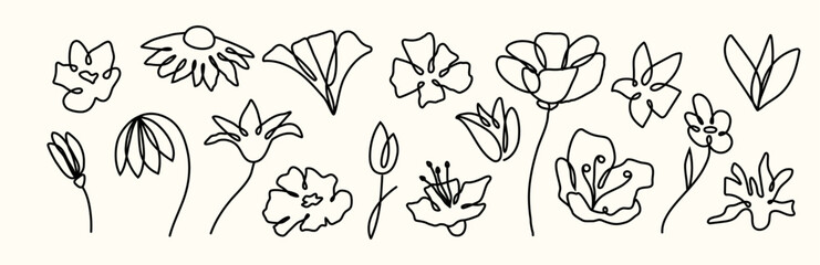 Set of modern elements from flowers and leaves. Abstract minimalist botany. Retro. Whimsical collection. Hand drawn and doodles. Coquette pattern. Bouquet. Tattoo. Ink plants. Simple pencil. Line art.
