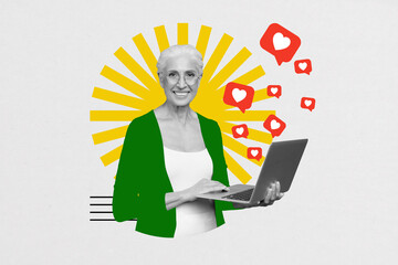 Composite zine pop trend collage of happy old woman hold laptop blogger feedback like notification...