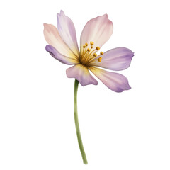Fototapeta premium Elegant Floral Artwork: A delicate flower, exhibiting pastel tones in a captivating display of nature's grace. Its gentle petals unfurl with elegance.