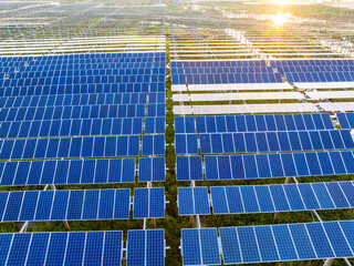 Solar photovoltaic power plant at sunset