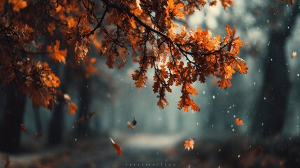 Vibrant Tree with Orange Leaves Bathed in Gentle Rain Creating a Beautiful Autumn Scene of Nature