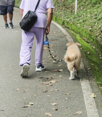 An adult person dressed in comfortable clothing, in light and dark colors, goes for a walk on Sunday with their pet to hike up the road to the top of the hill to exercise and take a break from daily l