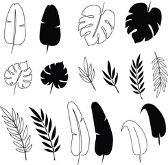 Art & Illustration  Leaf Lines & Silhouettes