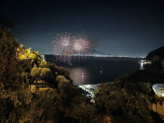 Fireworks in Night Sky