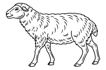 Obraz premium coloring page line art the sheep black vector