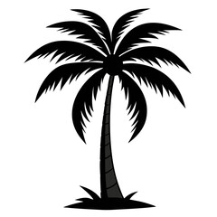 Obraz premium Coconut tree silhouette