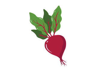 Beetroot Vegetable Cartoon Clip Art