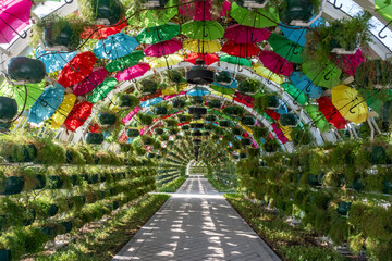 The colorful floral and umbrella arch at the Corniche Station. Umbrella Park Doha Qatar