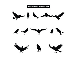 Vector Bird Silhouette Collection, Flying, Perching, and Soaring Birds for Graphic Design