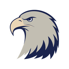 Bald Eagle Head With Sharp Beak