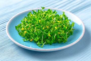 The top view of a white plate features fresh broccoli microgreens, an essential component of nutritious, plant-based food for vegans and vegetarians