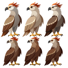 A collection of six stylized cartoon illustrations depicting a bird of prey possibly a harpy eagle or similar raptor in various brown and gray color
