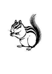 Squirrel sitting ink sketch hand drawn engraved style Vector illustration. The indian giant squirrel Columbian ground squirrel .
