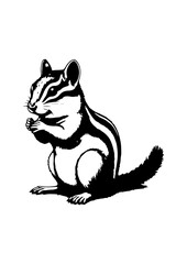 Squirrel sitting ink sketch hand drawn engraved style Vector illustration. The indian giant squirrel Columbian ground squirrel .
