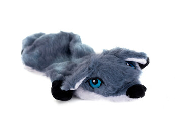 toy for dog
