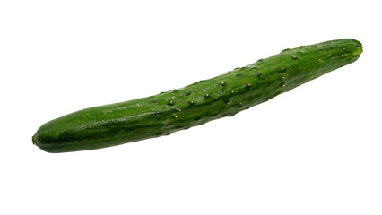 新鮮なキュウリ（背景透過・切り抜き）