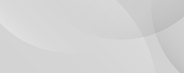 Abstract minimalist white and gray curve modern background. texture white pattern. vector illustration