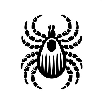 black tick insect isolated clip art preview
