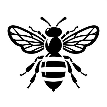 Black and White Vector of a Honeybee Silhouette