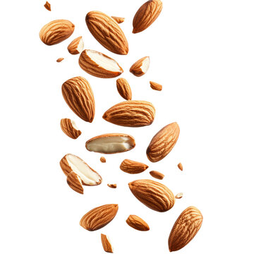 almond falling 