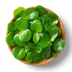 Obraz premium In a wooden bowl, common buckwheat microgreens are arranged, consisting of ready-to-eat sprouts, green seedlings, young plants, and shoots of Fagopyrum esculentum, photographed in a close-up,