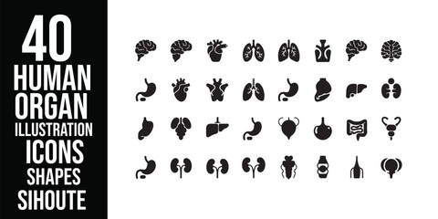 Collection of black and white anatomical icons representing human organs and body parts in a grid