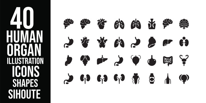 Collection of black and white anatomical icons representing human organs and body parts in a grid