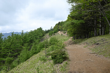 Climbing Mount Kumotori, Tokyo, Japan