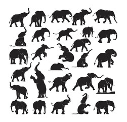 Elephant Silhouette Vector Collection with Various Poses and Actions
