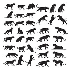 Panther Silhouette Vector Collection with Various Poses for Design and Illustration