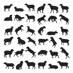 Sheep Silhouette Vector Set – Farm Animal Black Silhouettes Collection
