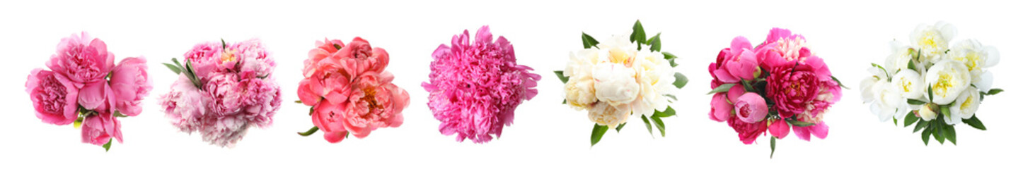 Beautiful bouquets of peony flowers on white background, set. Top view
